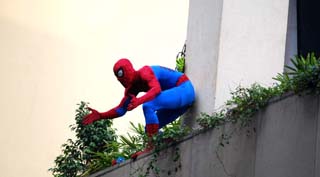 Spiderman